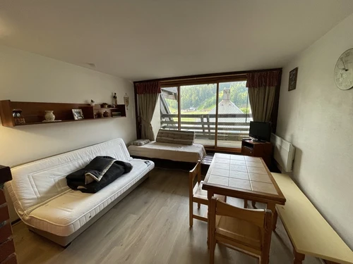 Studio Le Lioran, 1 pièce, 4 personnes - photo_1011884563599