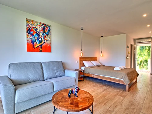 Studio Saint-Martin, studio flat, 3 persons - photo_1011180503885