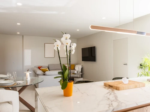 Apartment Saint-Martin, 1 bedroom, 2 persons - photo_1011596632413