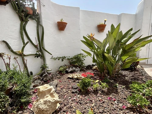 Apartment Costa Calma, 1 bedroom, 2 persons - photo_1011887052413