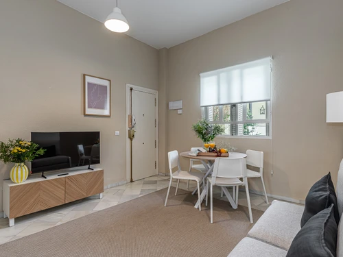 Apartment Seville, 1 bedroom, 4 persons - photo_1011887507134