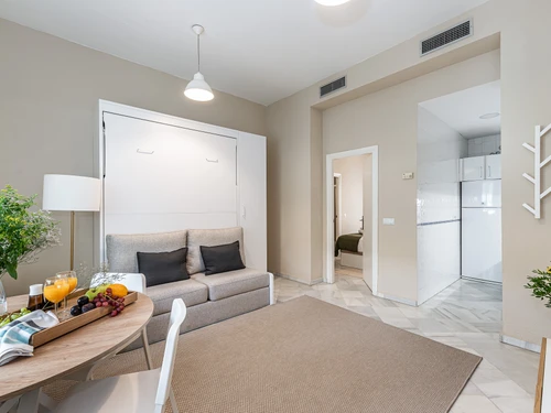 Apartment Seville, 1 bedroom, 4 persons - photo_1011887507134