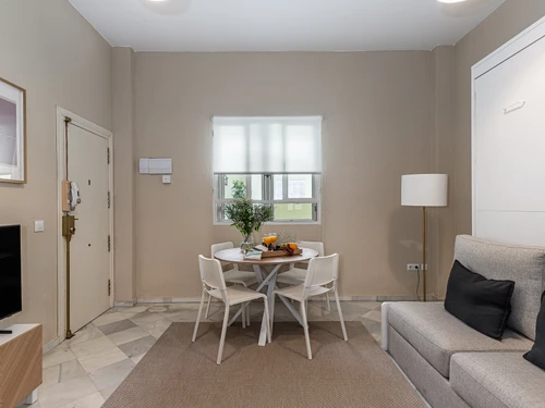 Apartment Seville, 1 bedroom, 4 persons - photo_1011887507134