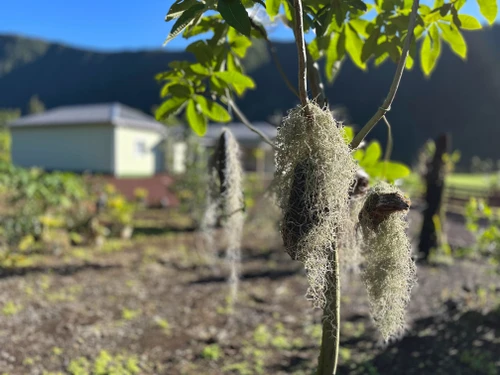 Guestroom Saint-Benoît, 1 pièce, 2 personnes - photo_1011889602821
