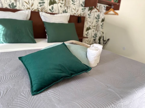 Guestroom Saint-Benoît, 1 pièce, 2 personnes - photo_1011889602967