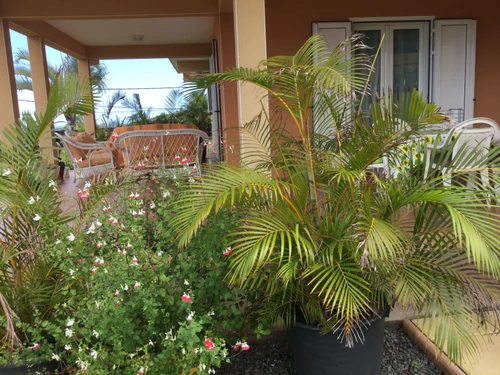 Gîte Les Avirons, 3 pièces, 5 personnes - photo_1011889603111