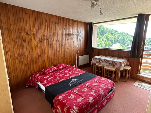 Studio Besse-et-Saint-Anastaise, studio flat, 4 persons - photo_1011768167131