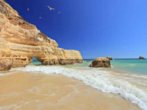 Villa Albufeira, 3 Schlafzimmer, 7 Personen - photo_1011874884045