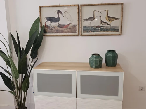 Appartement Torremolinos, 4 pièces, 5 personnes - photo_1011360548670