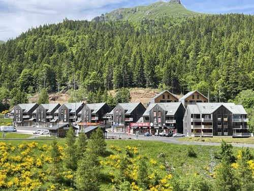 Studio Le Lioran, 3 pièces, 6 personnes - photo_1011769609152