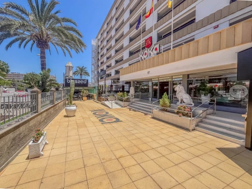 Apartment Playa del Inglés, 1 bedroom, 3 persons - photo_1011903737787