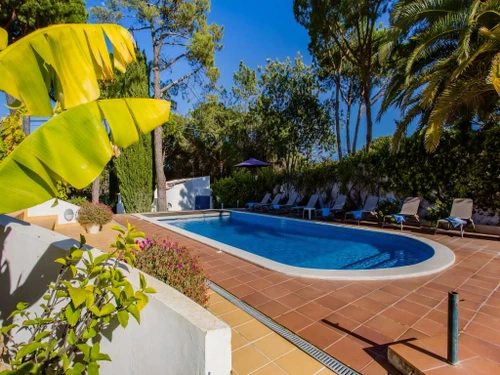 Villa Almancil, 7 pièces, 12 personnes - photo_1011875199382