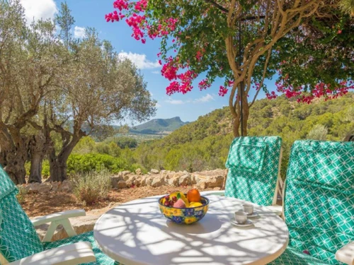 Maison Andratx, 3 pièces, 4 personnes - photo_709224361