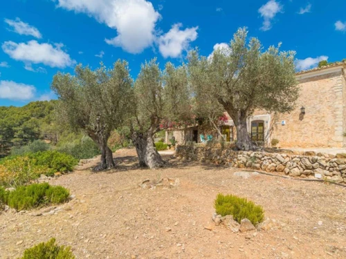 Maison Andratx, 3 pièces, 4 personnes - photo_709224361