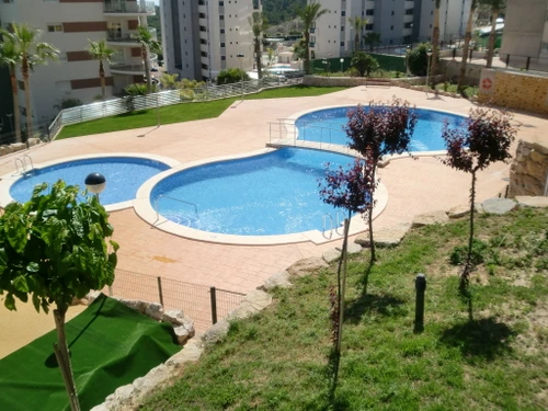 Appartement Benidorm, 3 pièces, 4 personnes - photo_17128663220