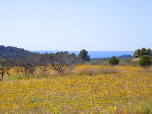 Gasthaus Benissa, 3 Schlafzimmer, 6 Personen - photo_14106109067