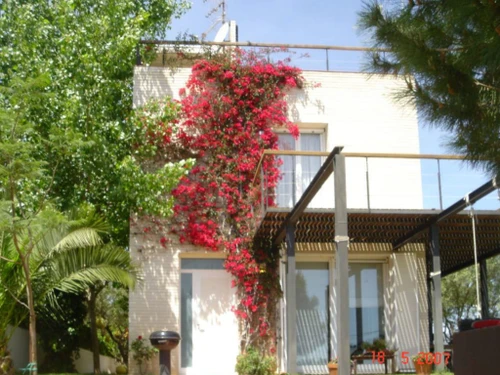 Casa L'Ampolla, 3 dormitorios, 10 personas - photo_17345491436