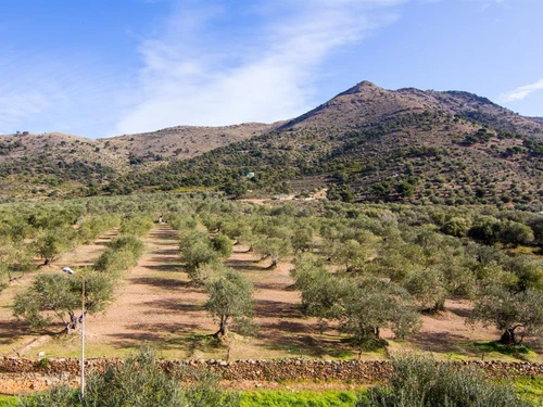 Appartement Roses, 2 pièces, 4 personnes - photo_18949196376