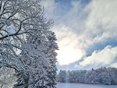Chalet La Plagne, 2 Schlafzimmer, 6 Personen - photo_1011820570859