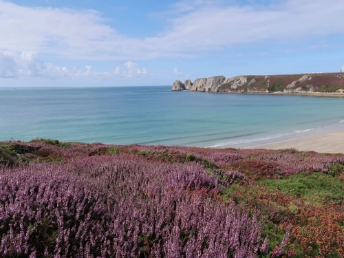 Ferienhaus Crozon, 2 Schlafzimmer, 4 Personen - photo_16077809010