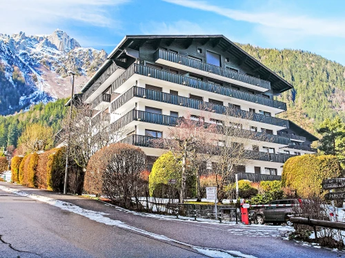 Apartment Chamonix-Mont-Blanc, 1 bedroom, 4 persons - photo_11764834605