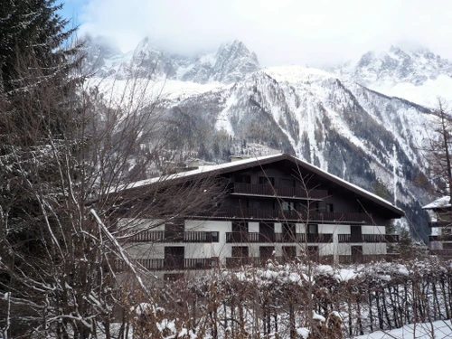 Apartment Chamonix-Mont-Blanc, 1 bedroom, 4 persons - photo_11764834605