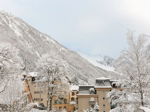 Apartment Chamonix-Mont-Blanc, 1 bedroom, 4 persons - photo_16833834283