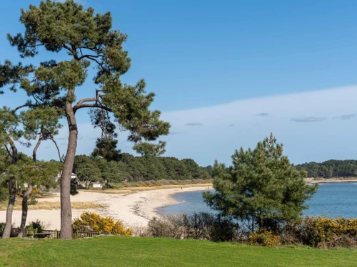 Ferienwohnung Carnac, Studio, 4 Personen - photo_17306166173