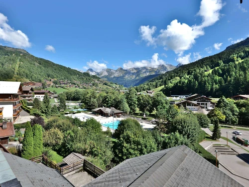 Ferienwohnung Le Grand-Bornand, 1 Schlafzimmer, 4 Personen - photo_17132242229