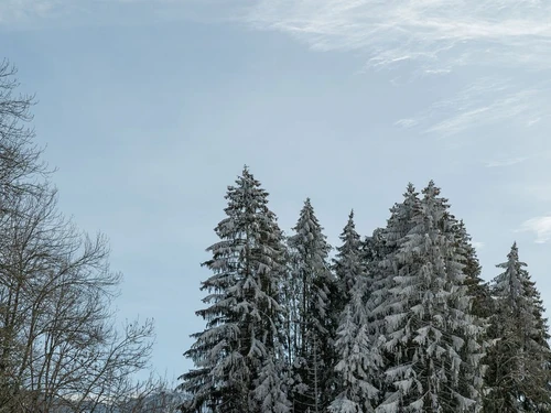 Appartement Les Carroz d'Arâches, 3 pièces, 6 personnes - photo_18735869223