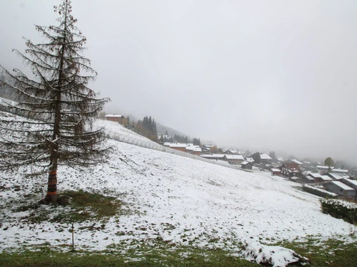 Studio Les Carroz d'Araches, studio flat, 4 persons - photo_14920562615