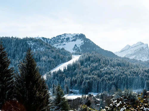 Studio Les Carroz d'Arâches, 1 pièce, 4 personnes - photo_1011683242312