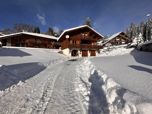 Chalet Les Carroz d'Araches, 4 Schlafzimmer, 8 Personen - photo_18755853723