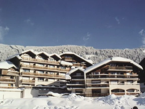 Studio Les Carroz d'Araches, studio flat, 4 persons - photo_14920537127