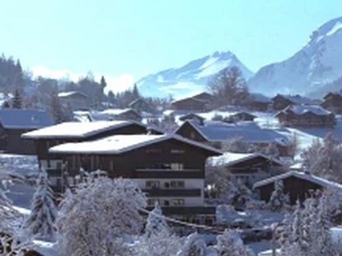 Studio Les Carroz d'Araches, studio flat, 4 persons - photo_14920584045