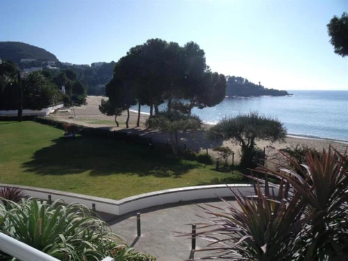 Appartement Roses, 3 pièces, 6 personnes - photo_1011919881748