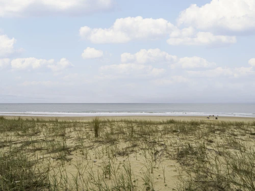 Apartment Lacanau, 2 bedrooms, 4 persons - photo_17389245412