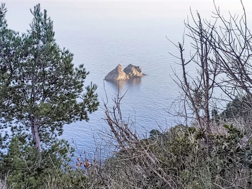 Ferienwohnung La Seyne Sur Mer, Les Sablettes, 1 Schlafzimmer, 4 Personen - photo_1011700005271