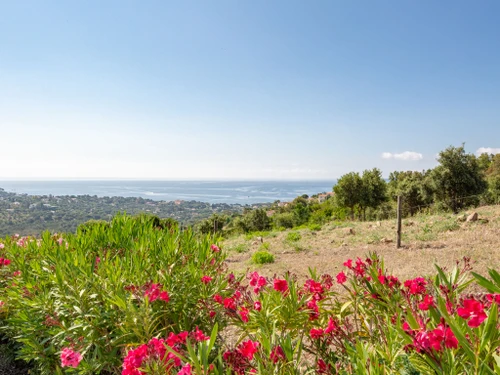 Apartment Les Issambres, 2 bedrooms, 4 persons - photo_710366407