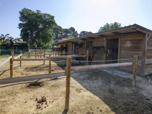 Apartment Saint-Cyr-sur-Mer-Les Lecques, studio flat, 2 persons - photo_19598243121