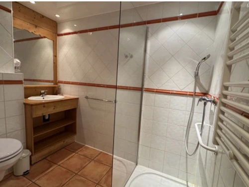 Apartment Pra-Loup, 2 bedrooms, 8 persons - photo_1011934988454