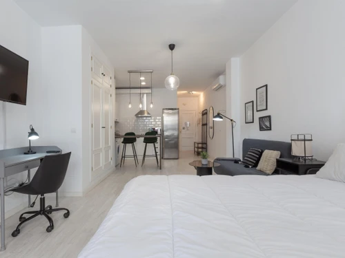 Appartement Málaga, 2 pièces, 3 personnes - photo_1011873702962