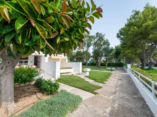 Apartment Palma, 2 bedrooms, 4 persons - photo_1011874849907