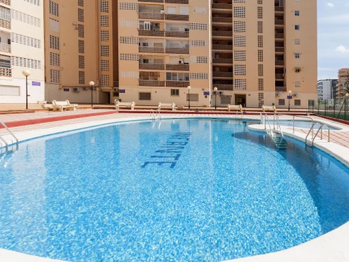 Apartment Gandía, 1 bedroom, 4 persons - photo_1011873703341