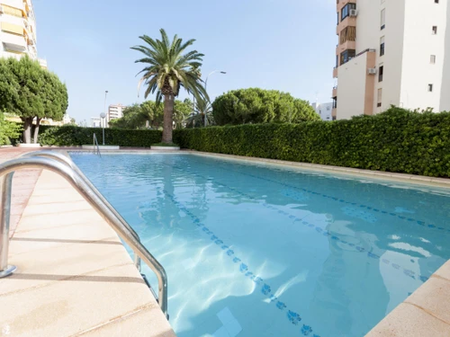 Apartamento Gandía, 3 dormitorios, 6 personas - photo_1011873744635