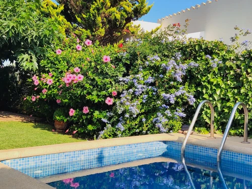 Apartment Ciutadella de Menorca, 2 bedrooms, 3 persons - photo_1011873893343