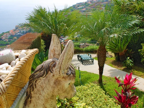 Villa Câmara de Lobos, 3 bedrooms, 6 persons - photo_1011873858477