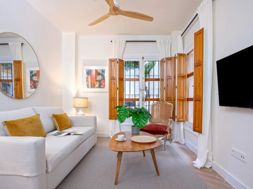 Apartment Seville, 1 bedroom, 3 persons - photo_1011873807514