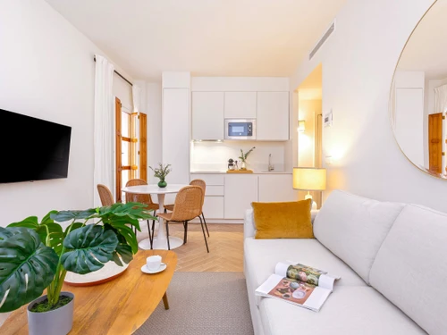 Apartment Seville, 1 bedroom, 3 persons - photo_1011873807514