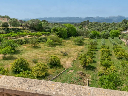 Chalet Costitx, 4 pièces, 6 personnes - photo_1011874075616